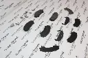 8972872630 - 2 (Custom).webp