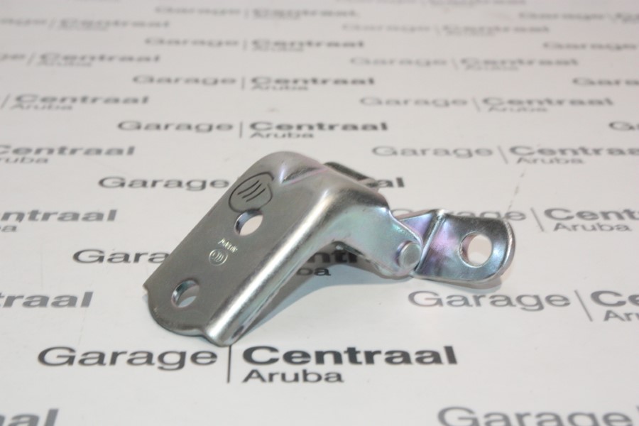 HINGE ACC RH FR/DR LWR 06- 