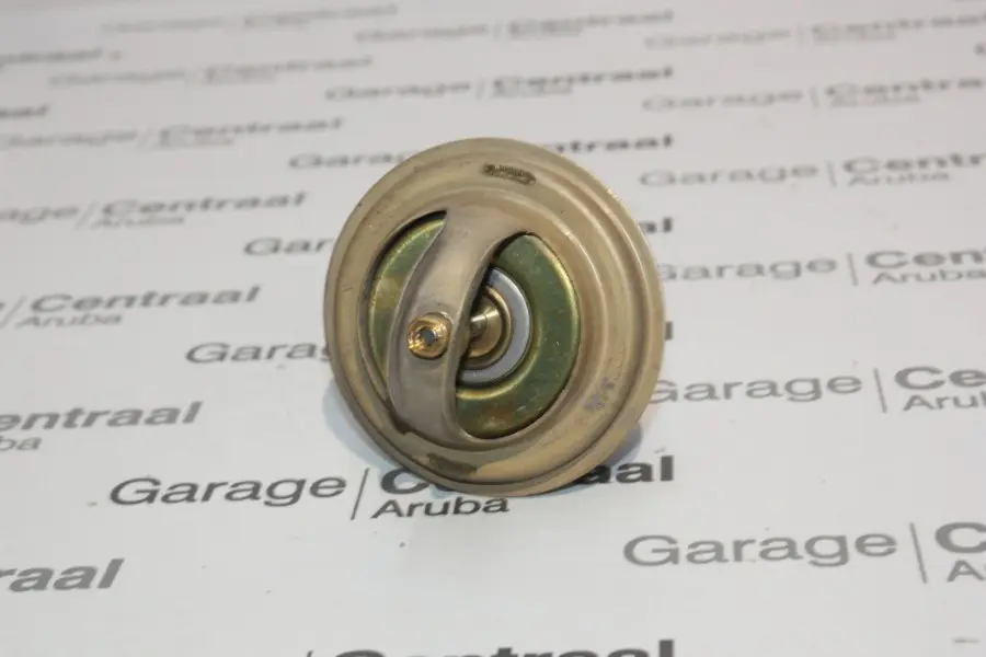 THERMOSTAT FVR 76.5 CEL