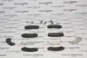 BRAKE/PADS RODEO 01-