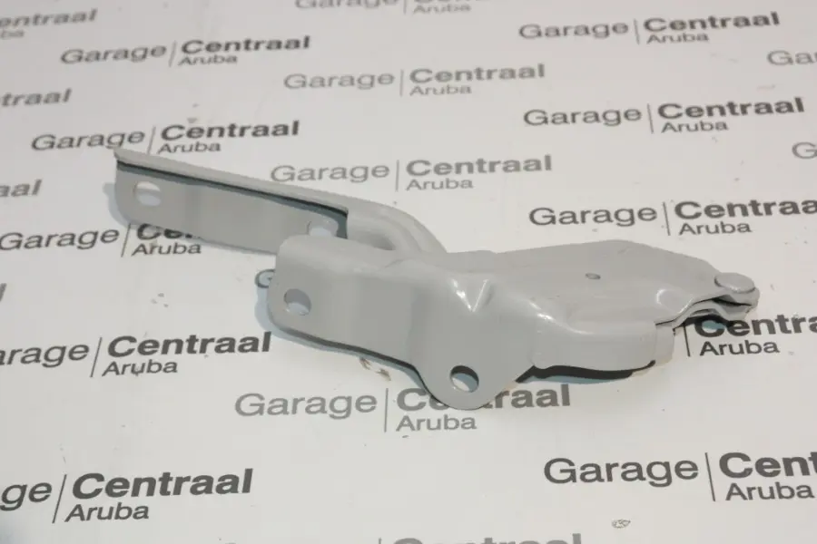 HINGE ACCENT LEFT HAND HOOD 22-
