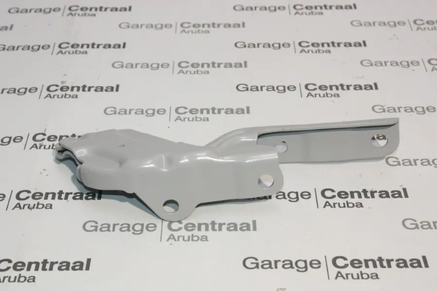 HINGE ACCENT RIGHT HAND HOOD 22-