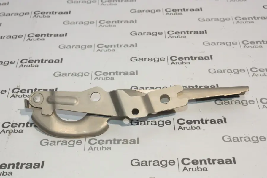 HINGE VIRTUS RIGHT HAND HOOD
