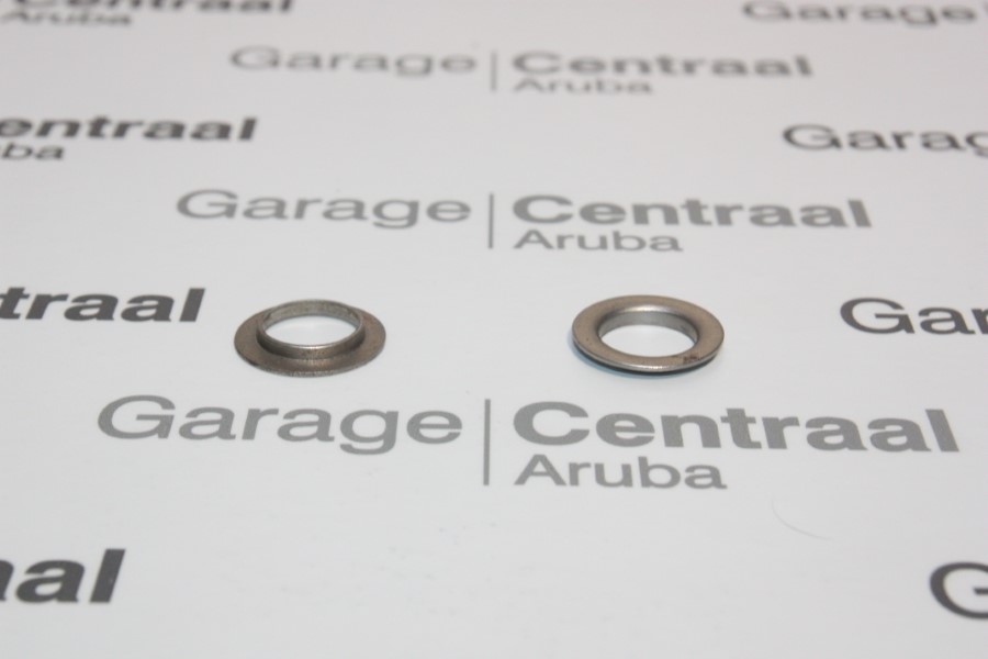 SEAT MTR VLV SPRING (1.8) 