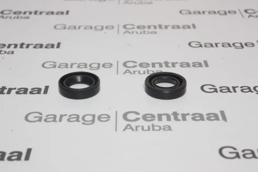 SEAL HYUNDAI GETZ FUEL INJECTOR VCG