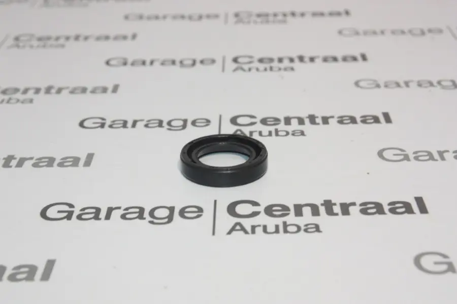 SEAL SANTA FE VCG (DIESEL)