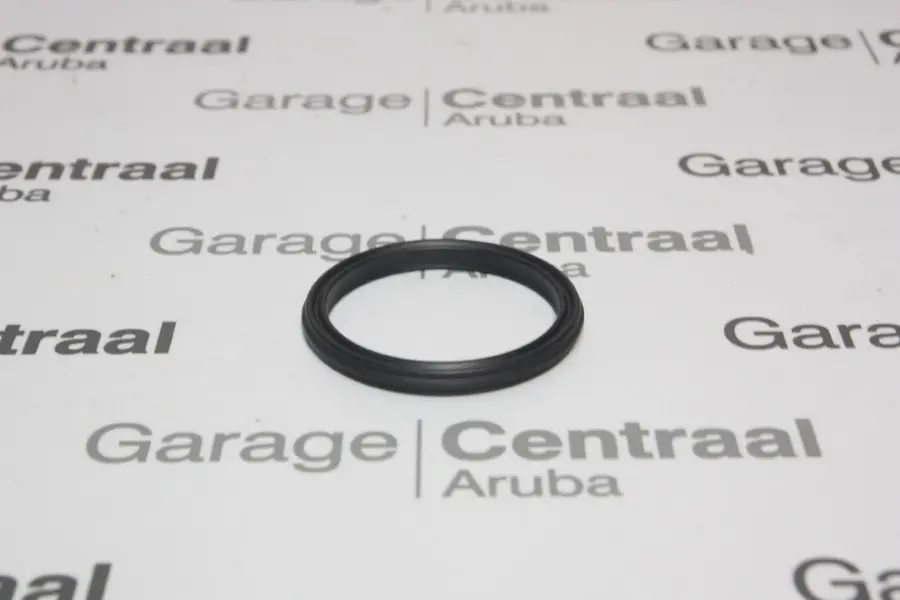 O-RING SANTA FE HOUSING THERMOSTAT 12-