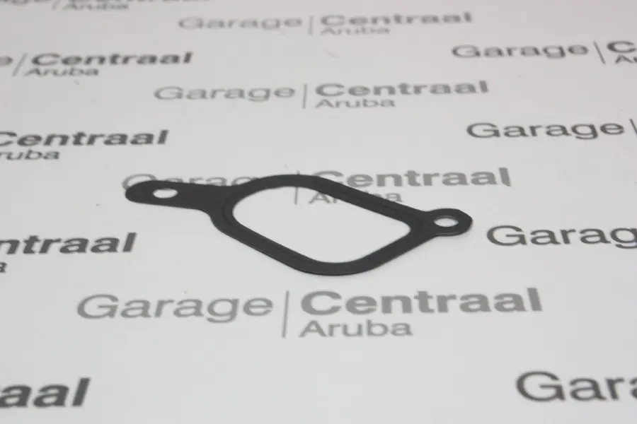 GASKET ELANTRA THERMOSTAT CASE -99
