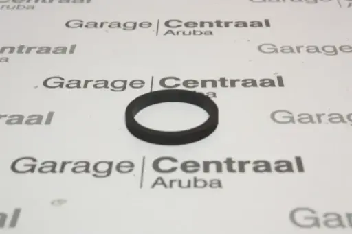 [0179974945] SEAL M271 TIMING CASE