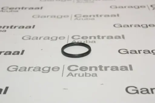 [2562338400] O-RING ACCENT THERMOSTAT HOUSING
