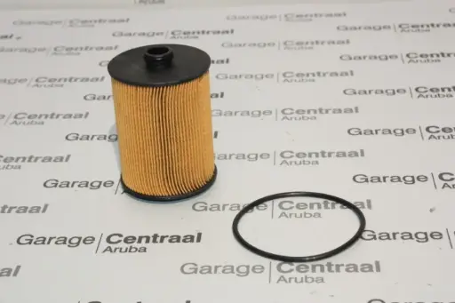[95810722210] OIL FILTER CAYA