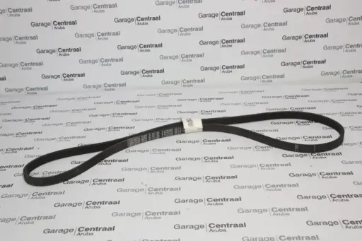 [1029970092] M/BELT 6X1885