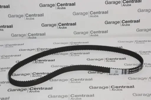 [04E109119L] TIMING BELT NIVUS