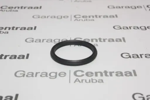 [256332G000] O-RING SANTA FE HOUSING THERMOSTAT 12-